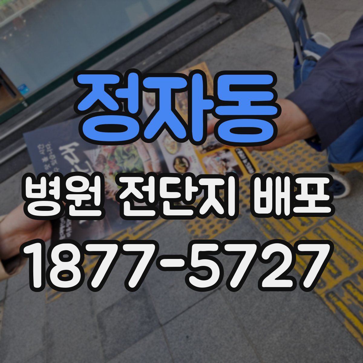 정자동 병원 전단지 배포