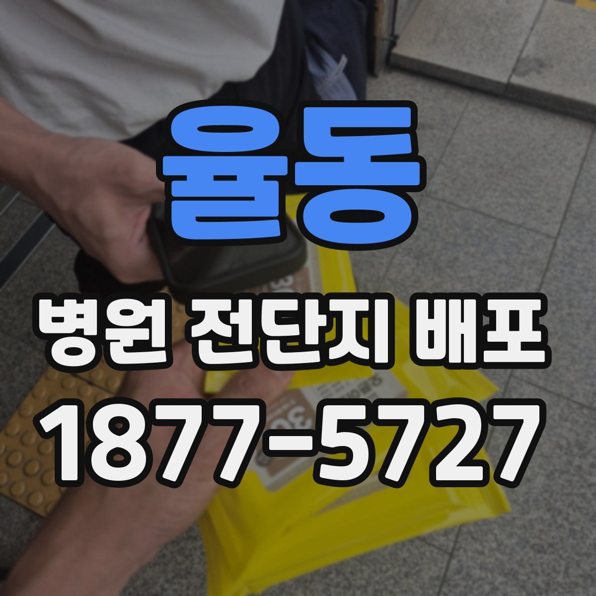 율동 병원 전단지 배포