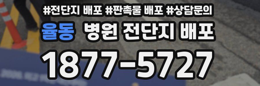율동 병원 전단지 배포