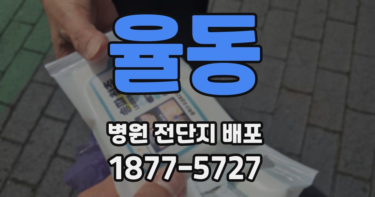 율동 병원 전단지 배포