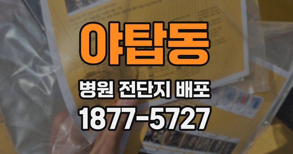 야탑동 병원 전단지 배포