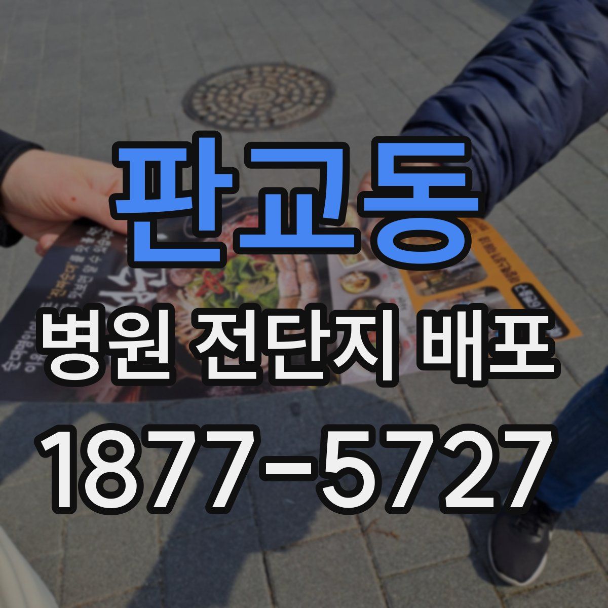 판교동 병원 전단지 배포