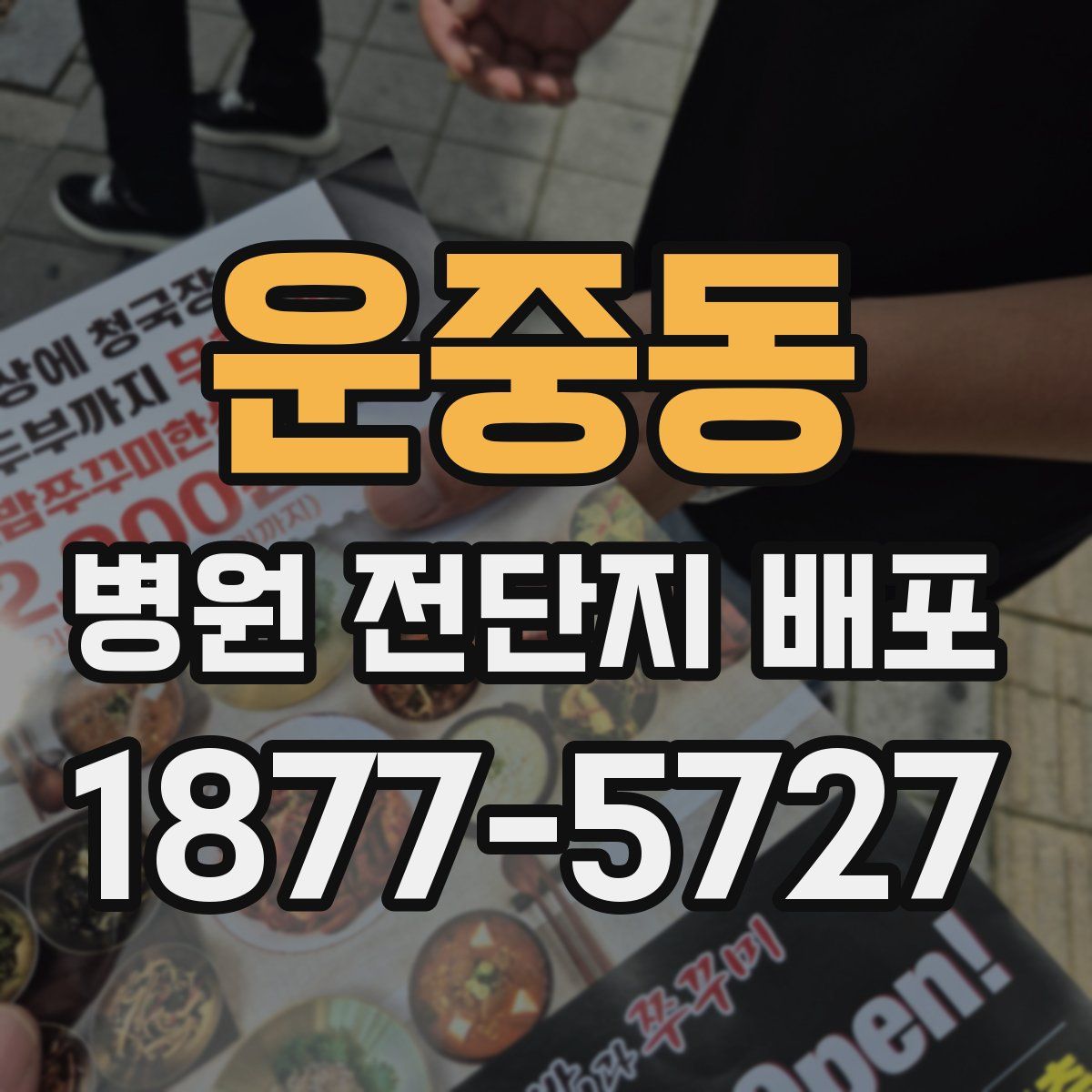 운중동 병원 전단지 배포