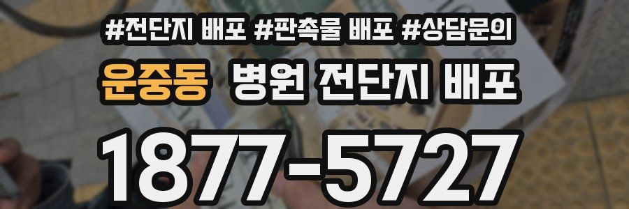 운중동 병원 전단지 배포