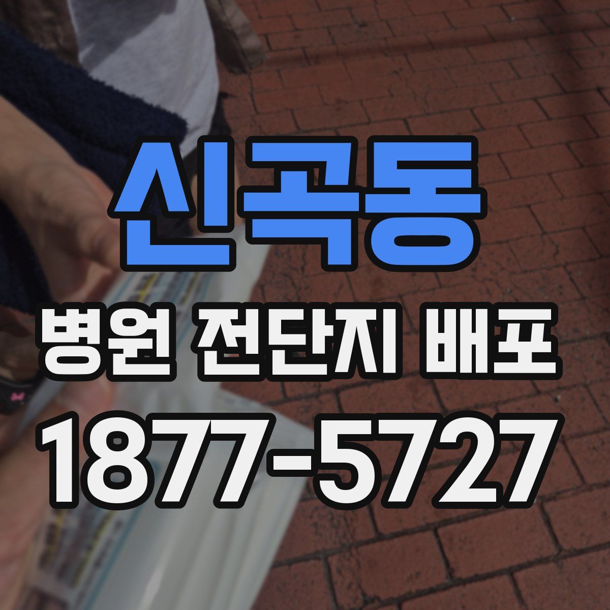 신곡동 병원 전단지 배포