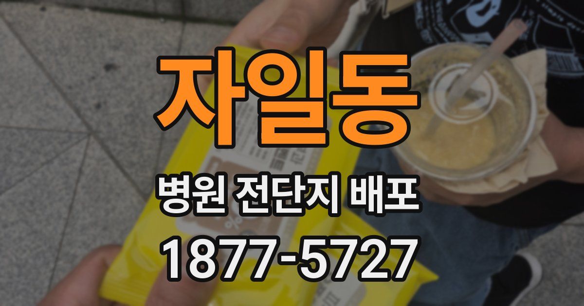 자일동 병원 전단지 배포