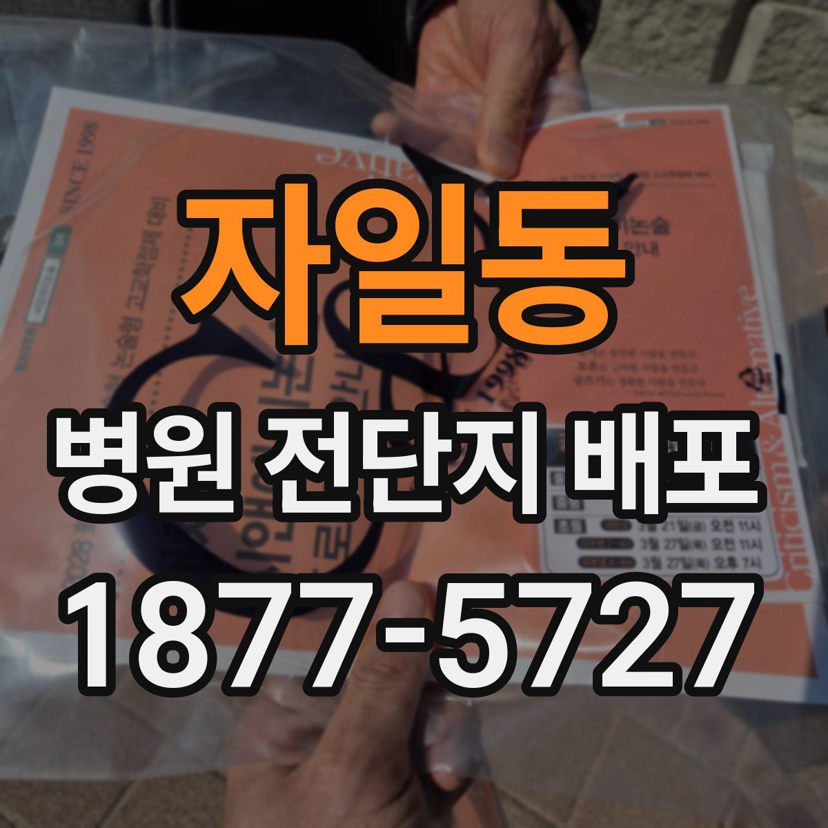 자일동 병원 전단지 배포