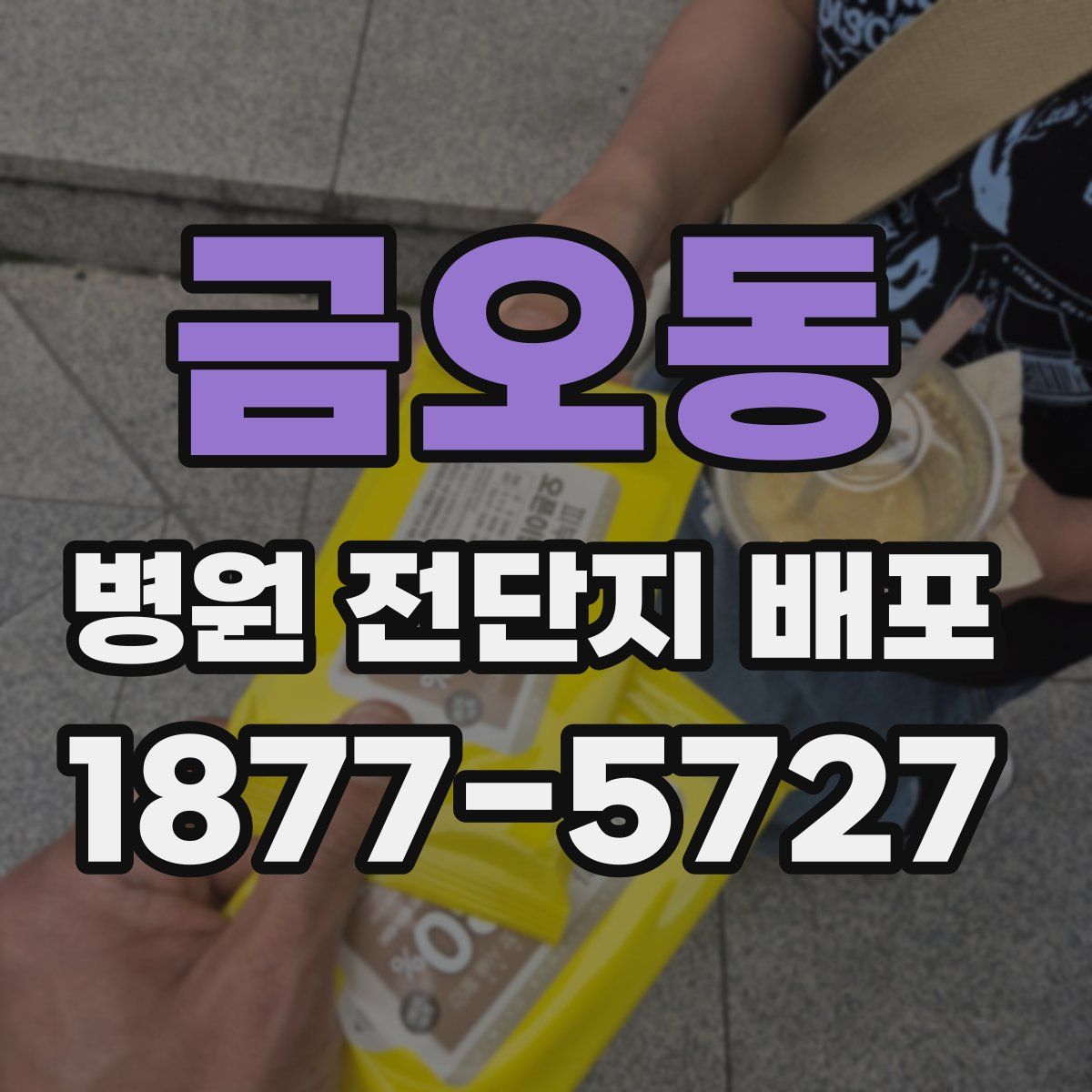 금오동 병원 전단지 배포