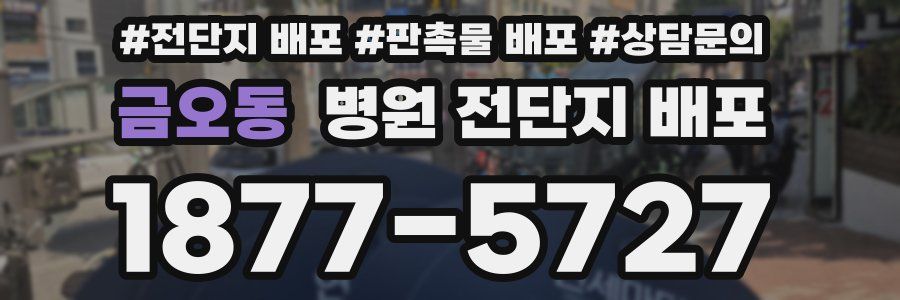 금오동 병원 전단지 배포