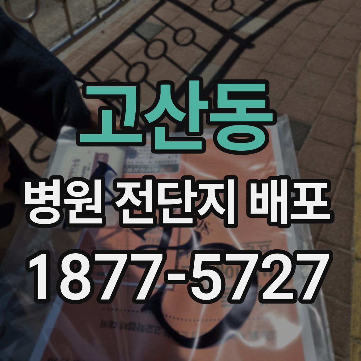 고산동 병원 전단지 배포