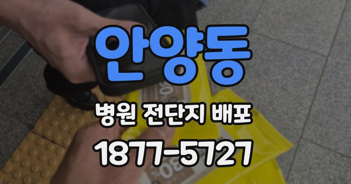 안양동 병원 전단지 배포
