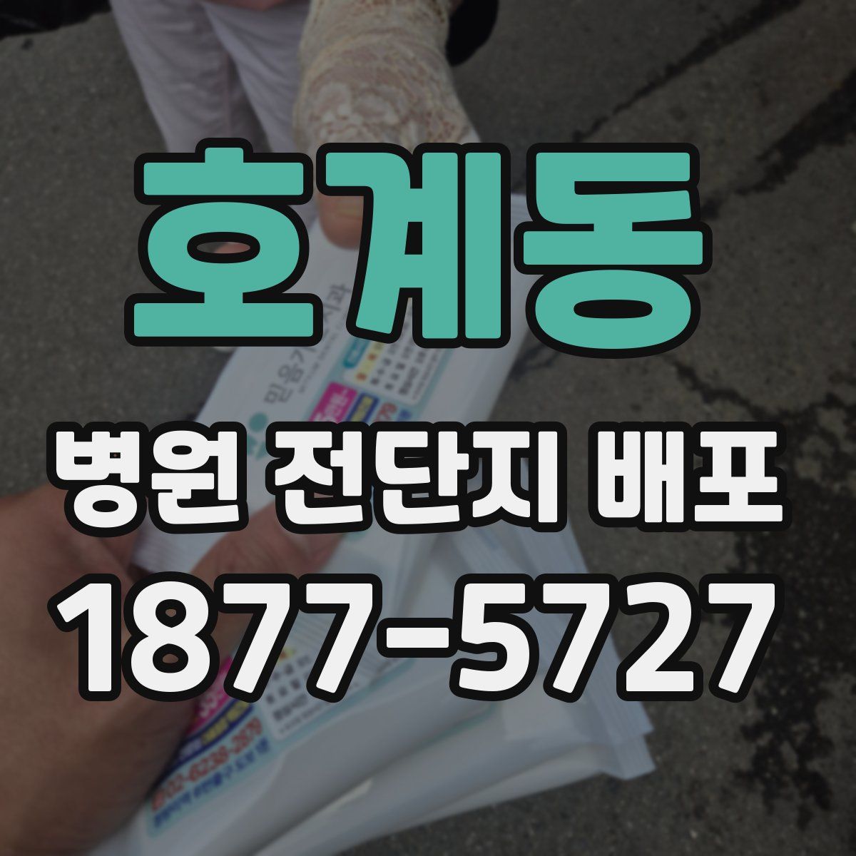 호계동 병원 전단지 배포