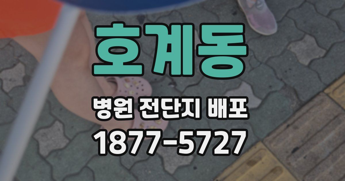 호계동 병원 전단지 배포