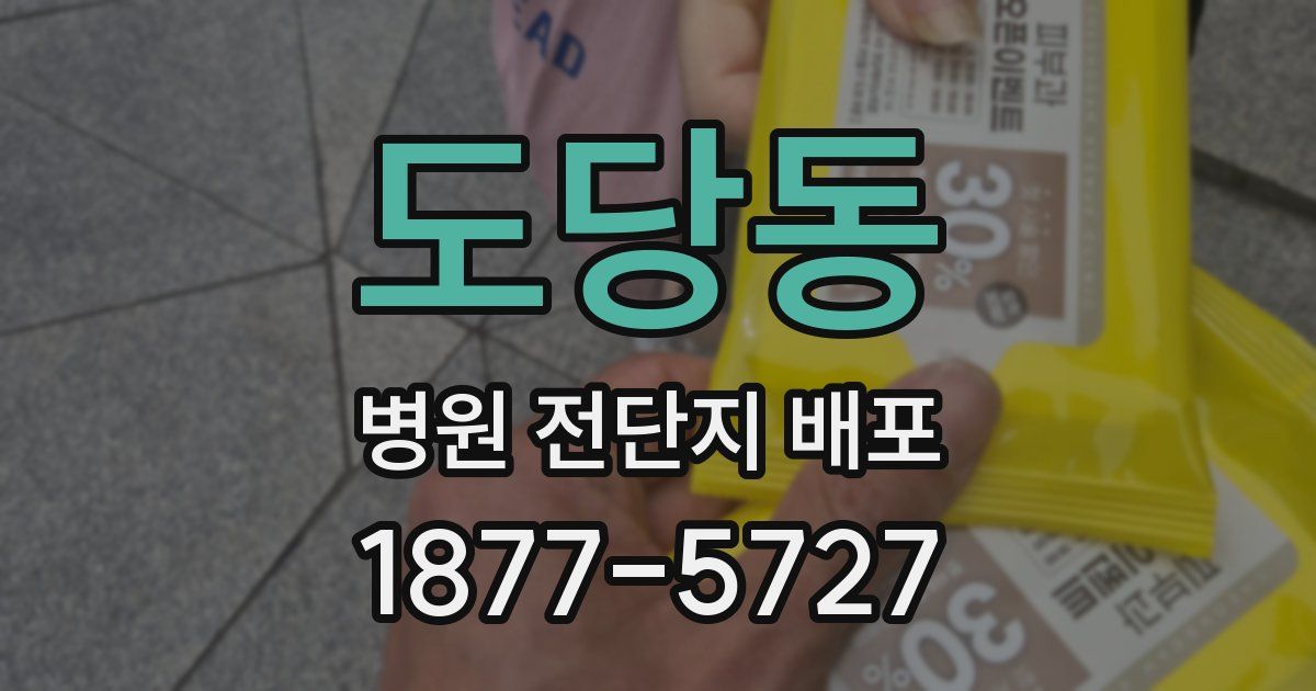 도당동 병원 전단지 배포