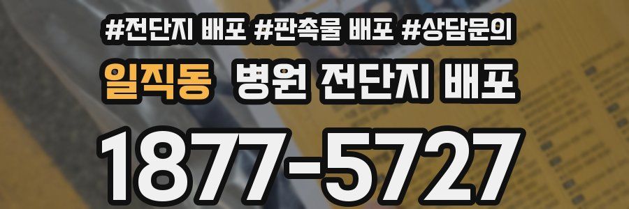일직동 병원 전단지 배포