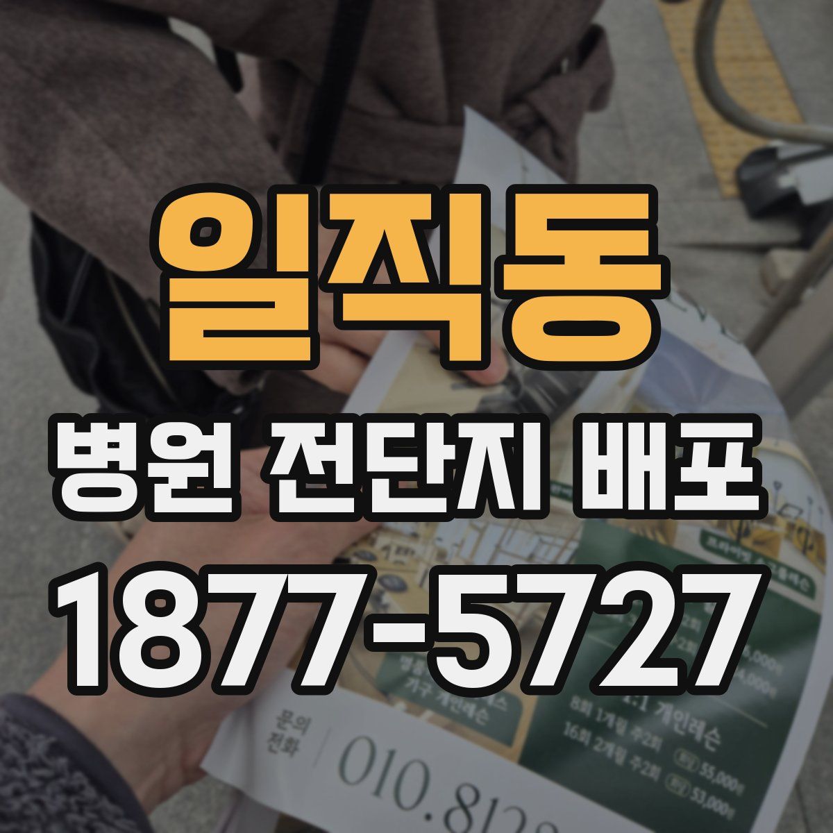 일직동 병원 전단지 배포