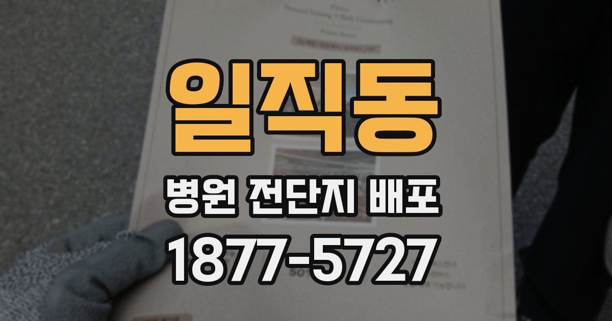 일직동 병원 전단지 배포