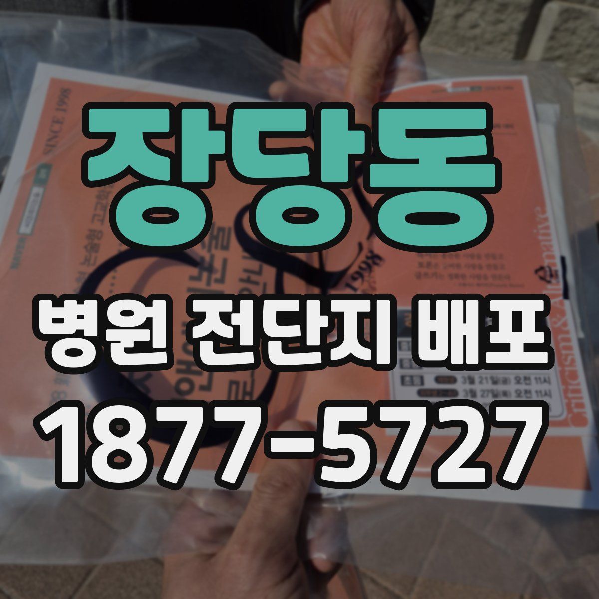 장당동 병원 전단지 배포
