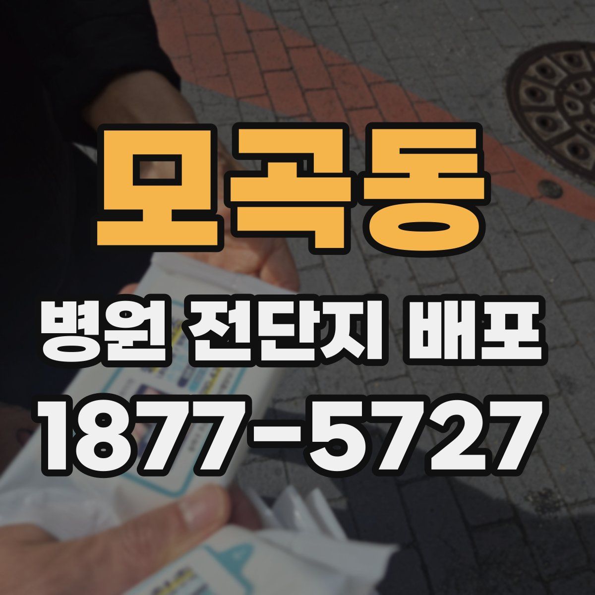 모곡동 병원 전단지 배포