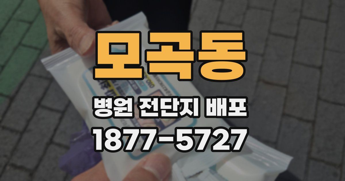 모곡동 병원 전단지 배포