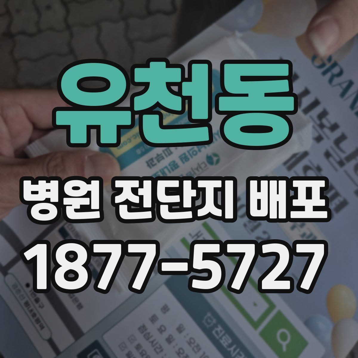 유천동 병원 전단지 배포