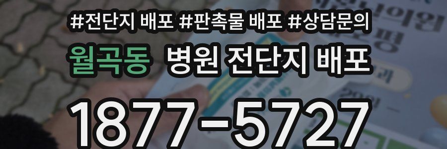 월곡동 병원 전단지 배포