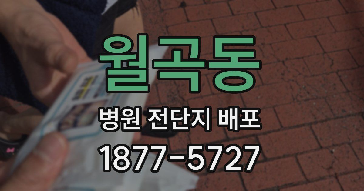 월곡동 병원 전단지 배포