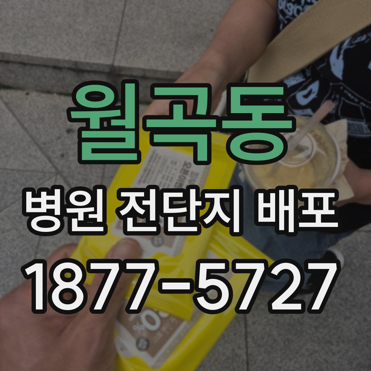 월곡동 병원 전단지 배포