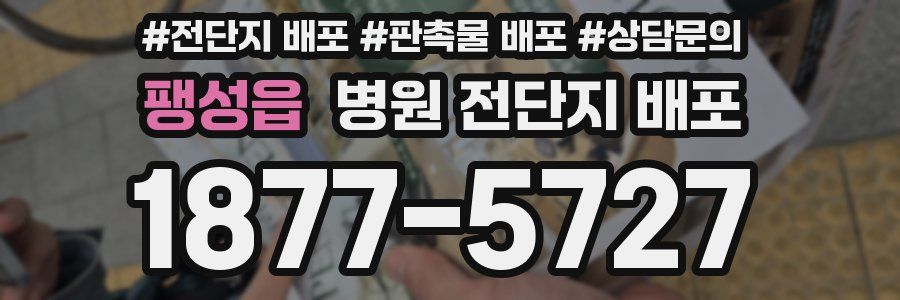 팽성읍 병원 전단지 배포