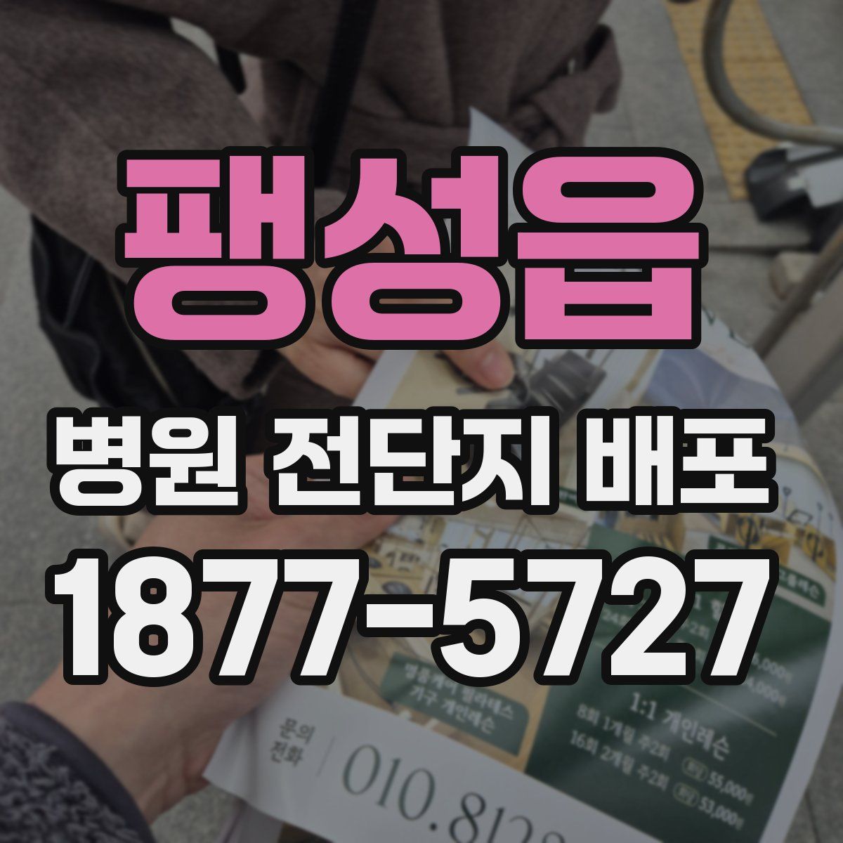 팽성읍 병원 전단지 배포