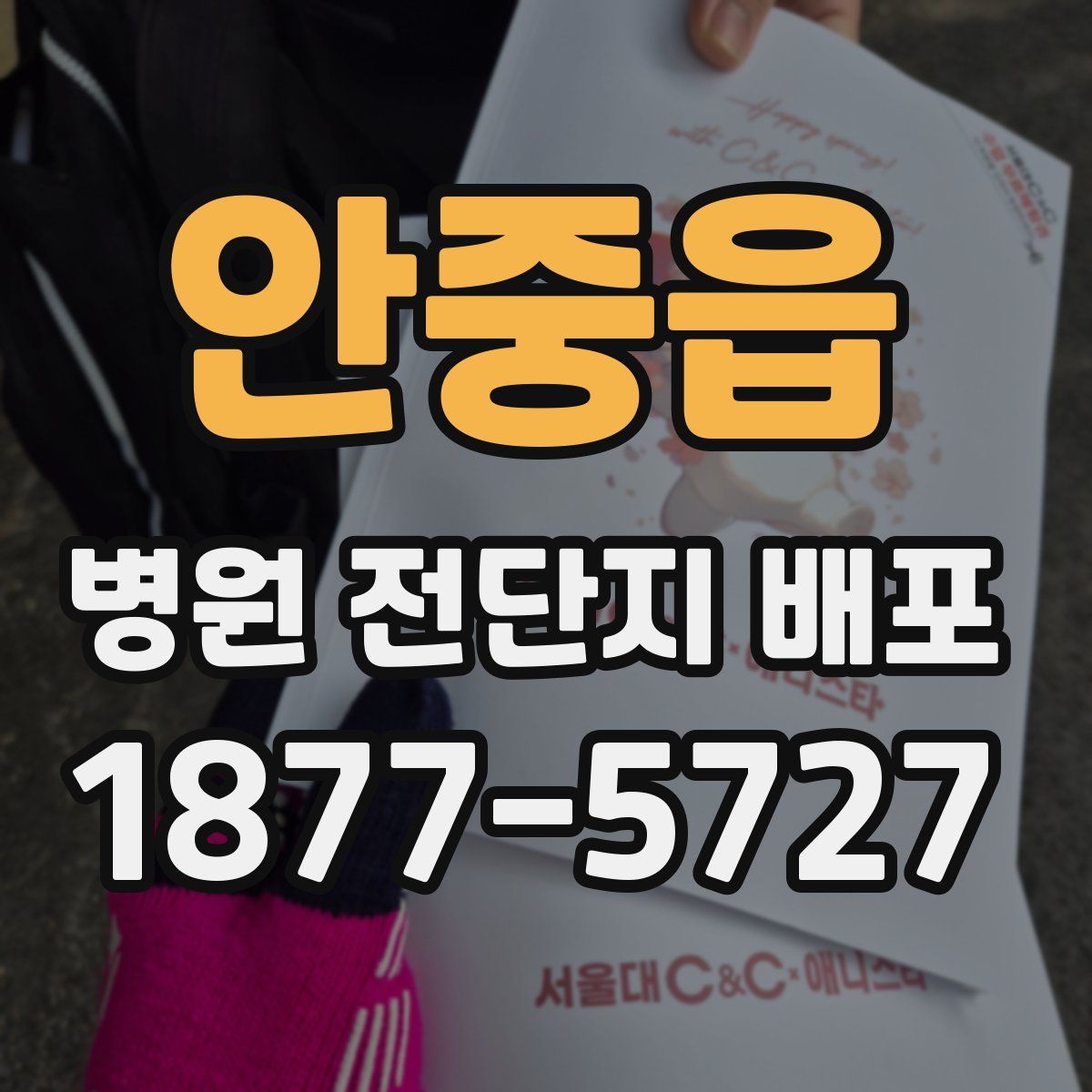 안중읍 병원 전단지 배포