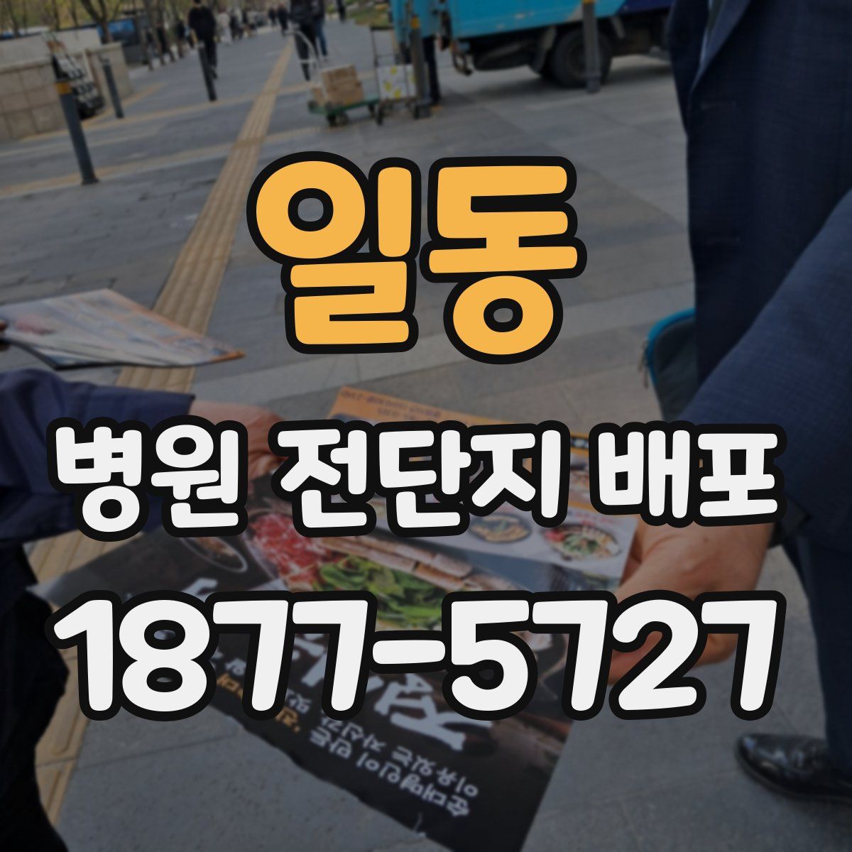 일동 병원 전단지 배포