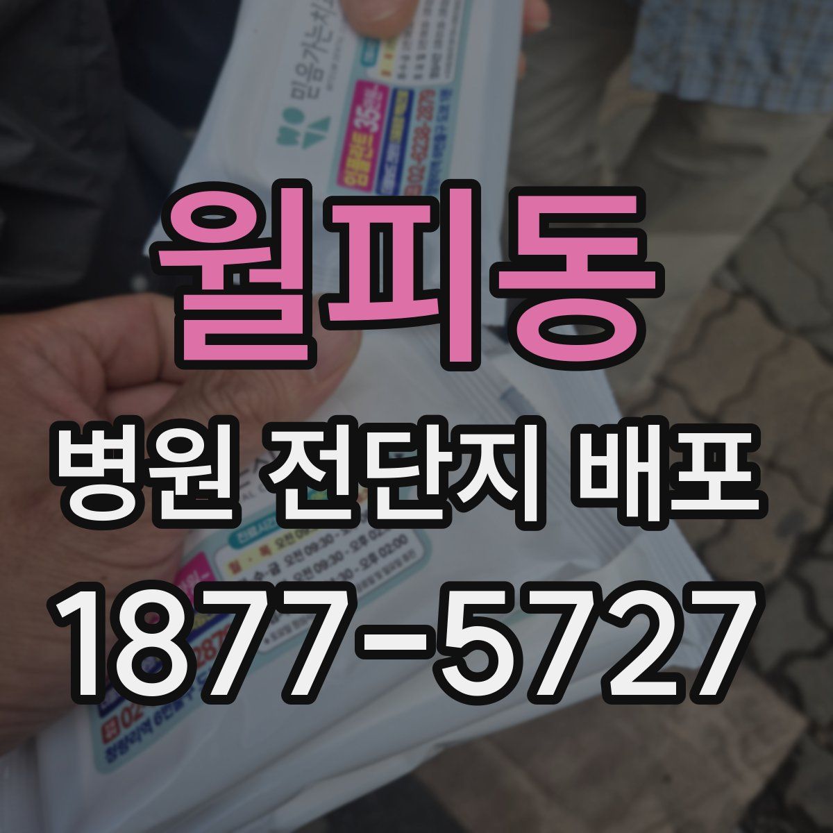 월피동 병원 전단지 배포