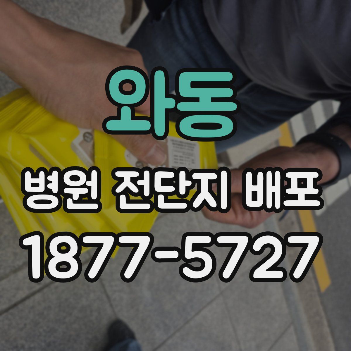 와동 병원 전단지 배포