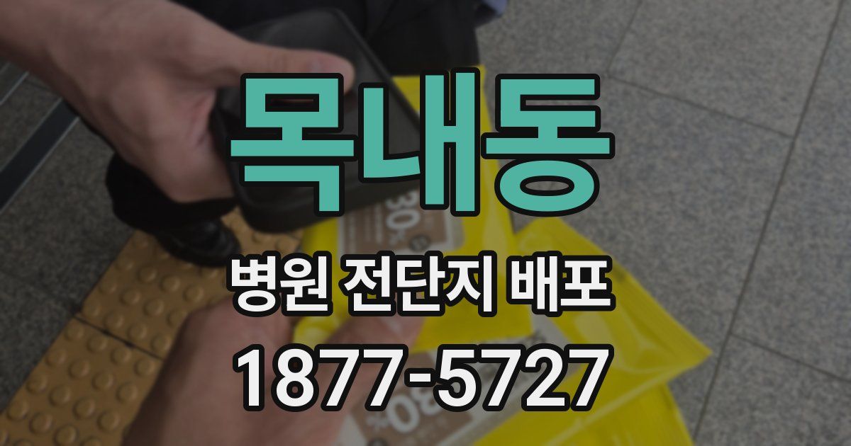 목내동 병원 전단지 배포