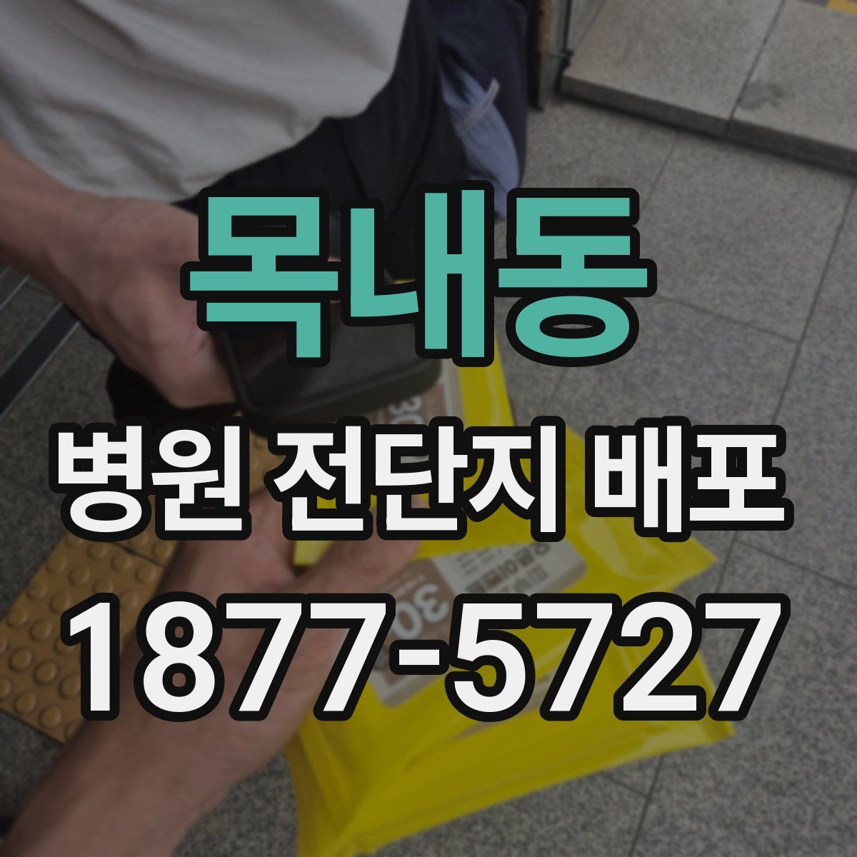 목내동 병원 전단지 배포