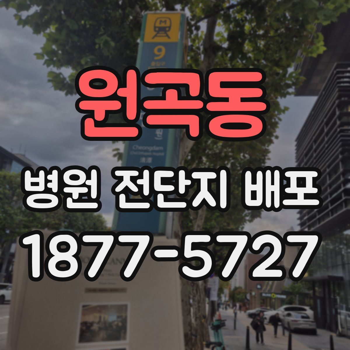 원곡동 병원 전단지 배포