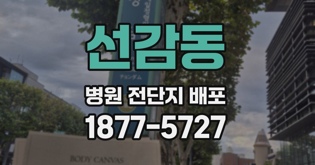 선감동 병원 전단지 배포