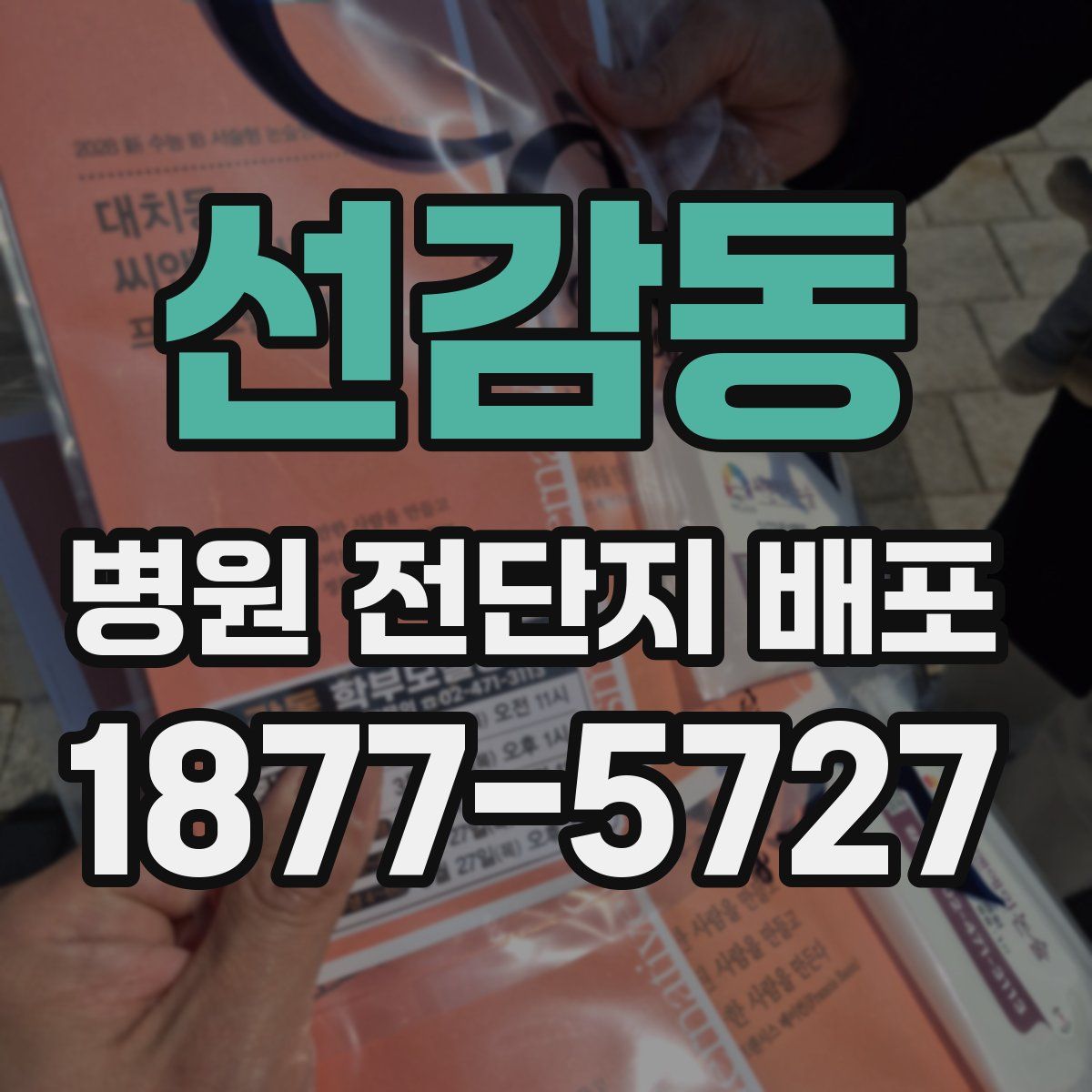 선감동 병원 전단지 배포