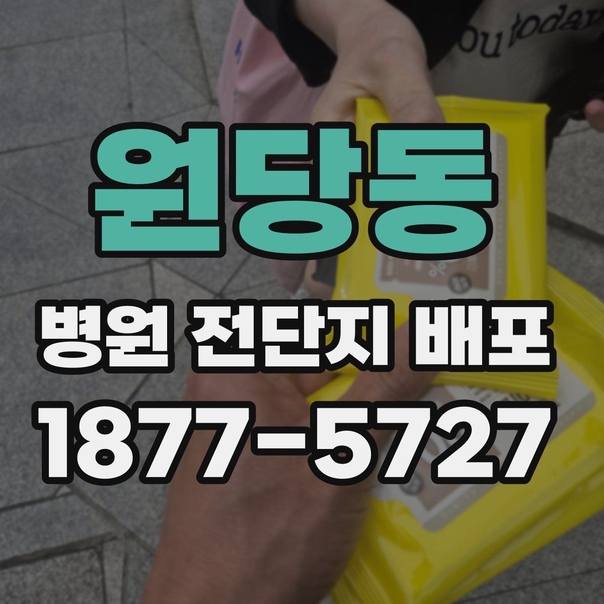 원당동 병원 전단지 배포