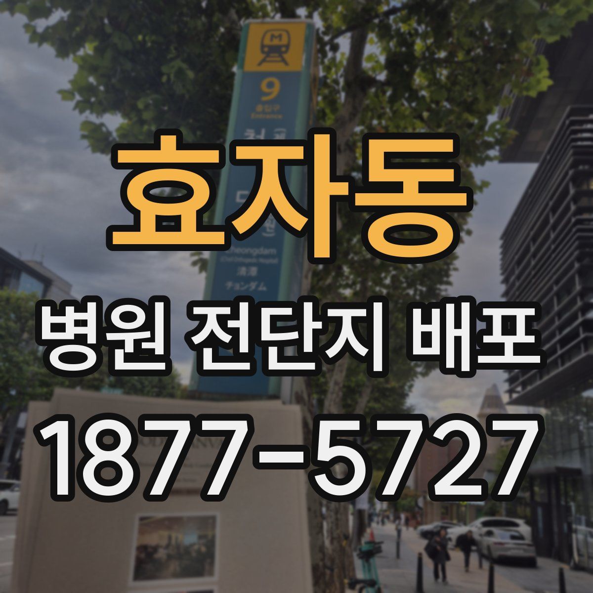효자동 병원 전단지 배포