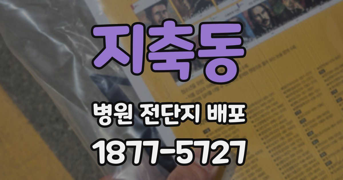 지축동 병원 전단지 배포