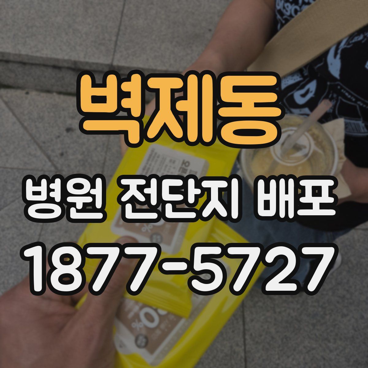 벽제동 병원 전단지 배포