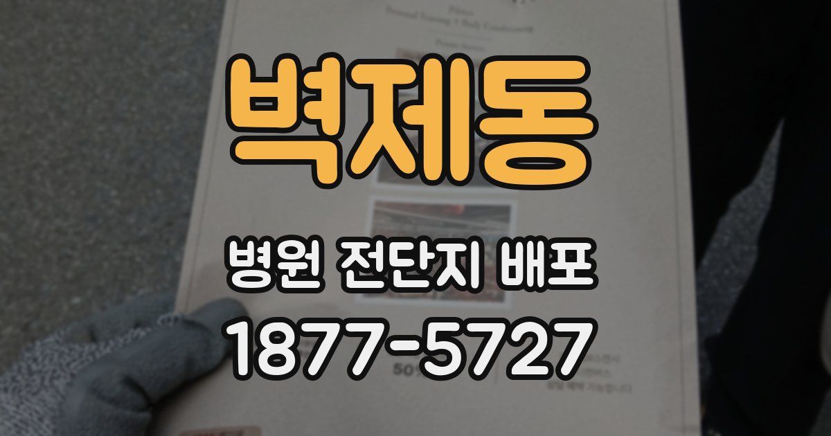 벽제동 병원 전단지 배포