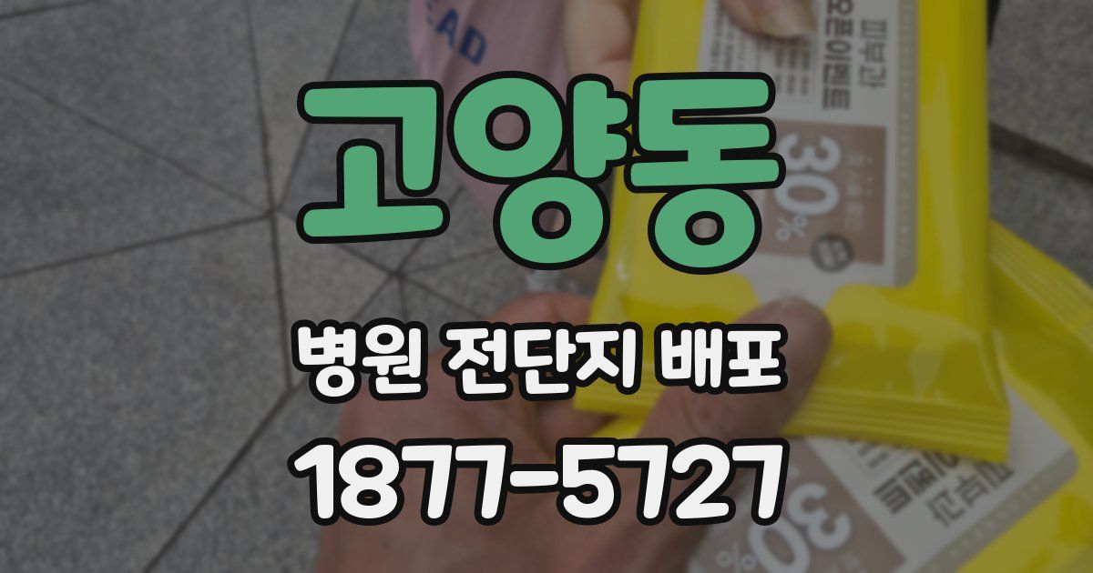 고양동 병원 전단지 배포