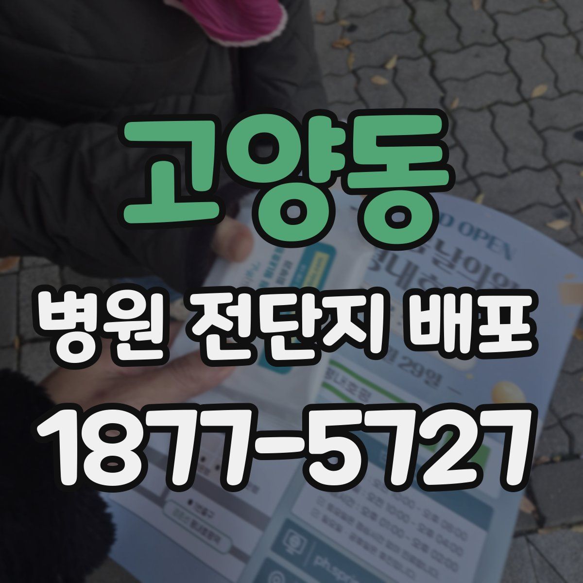 고양동 병원 전단지 배포