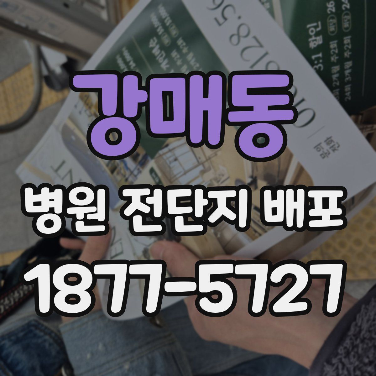 강매동 병원 전단지 배포