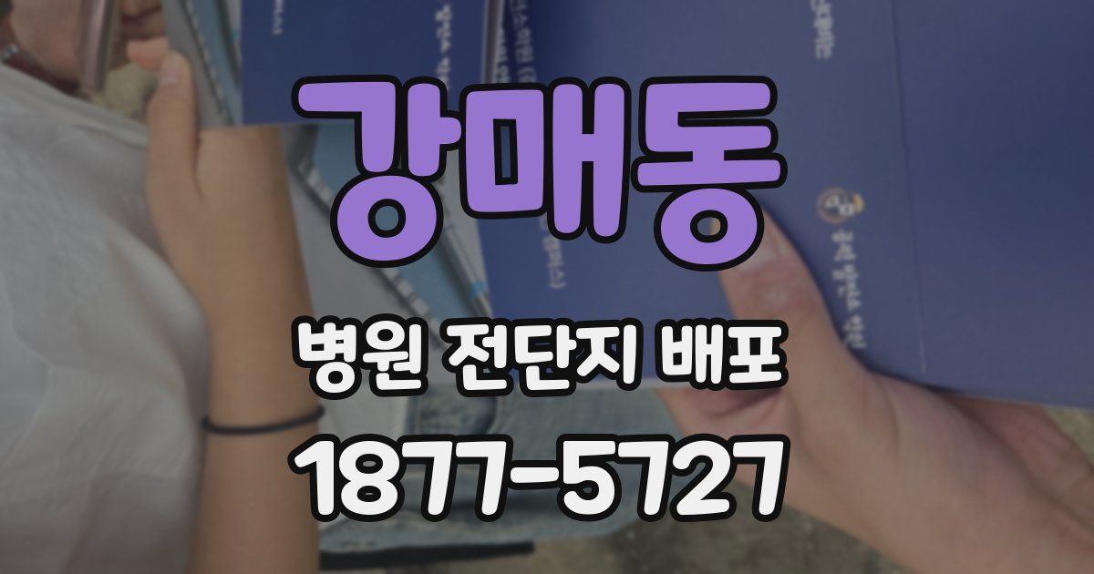 강매동 병원 전단지 배포