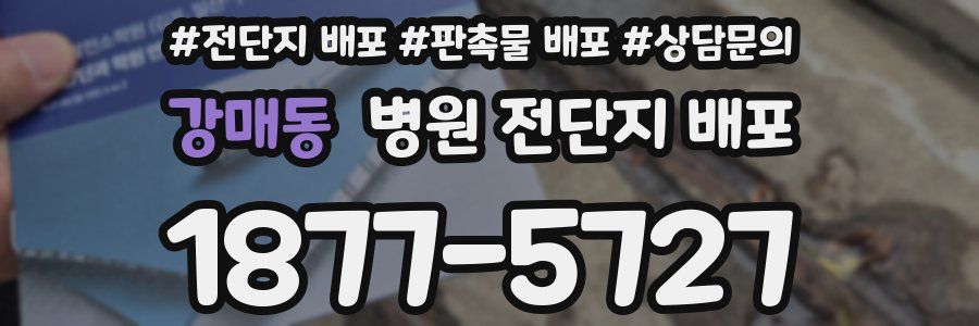 강매동 병원 전단지 배포