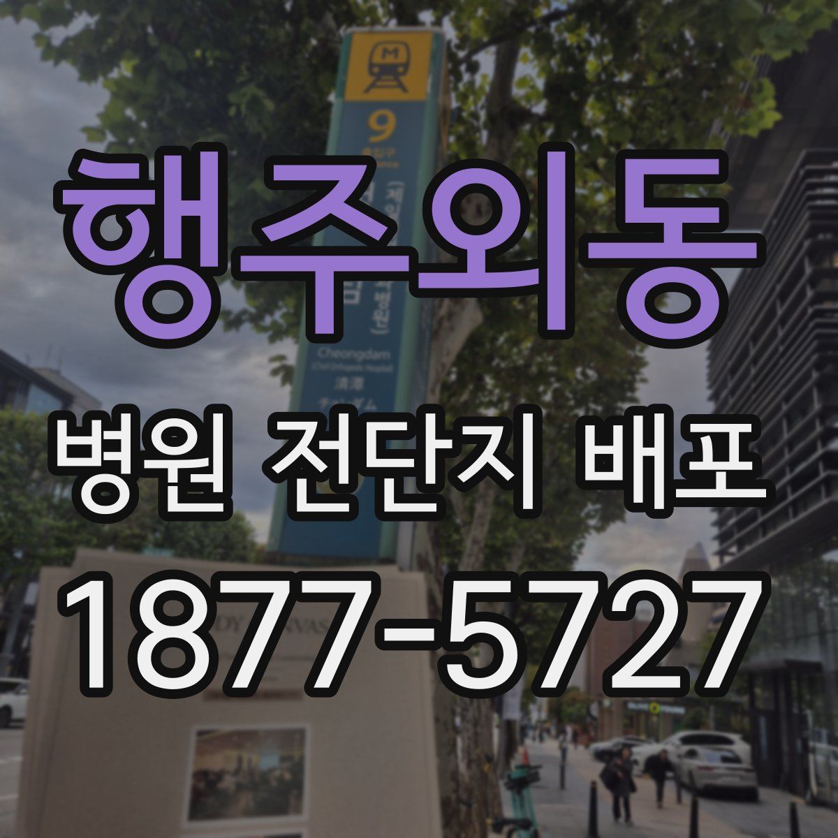 행주외동 병원 전단지 배포